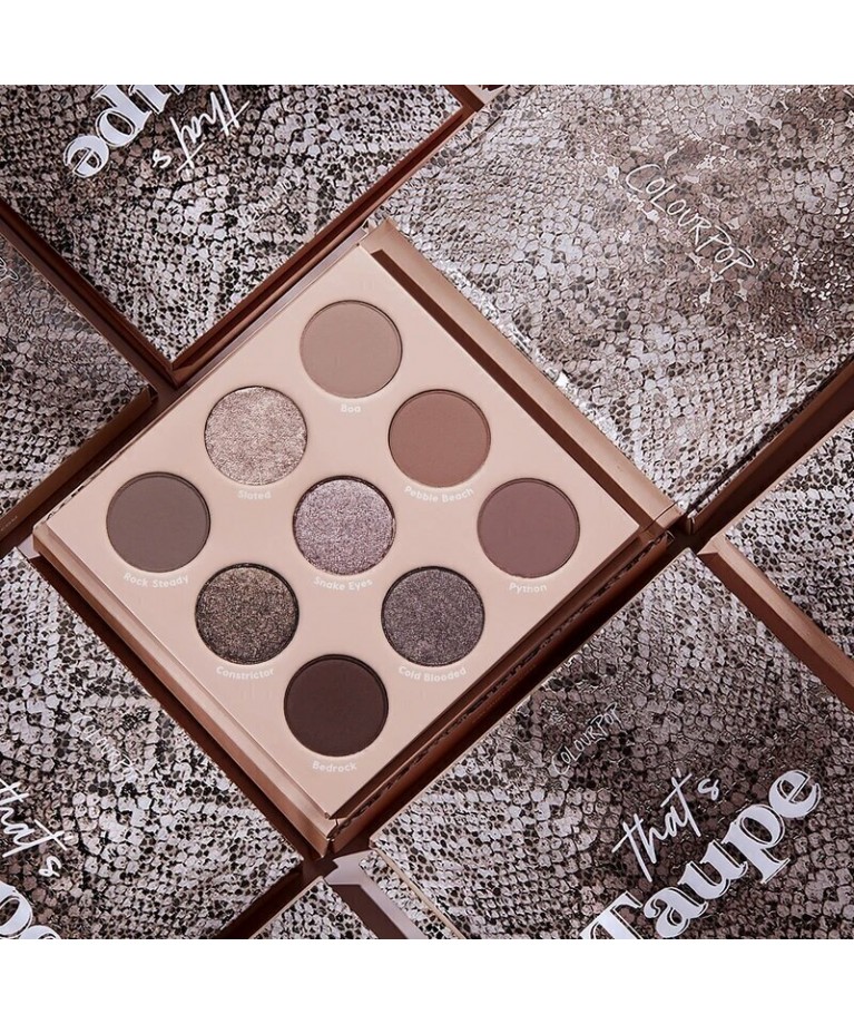 Палетка теней ColourPop That's Taupe